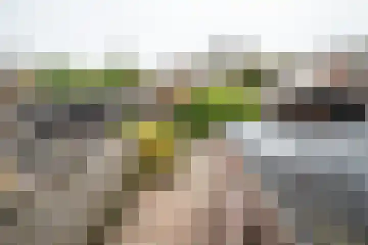 Markiezenhof 19 Roden thumbnail 33