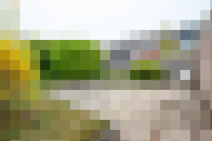 Markiezenhof 19 Roden thumbnail 39