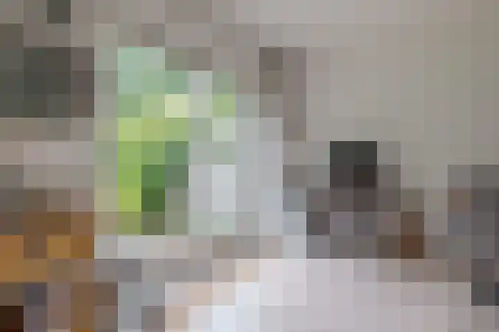 Markiezenhof 20 Roden thumbnail 20