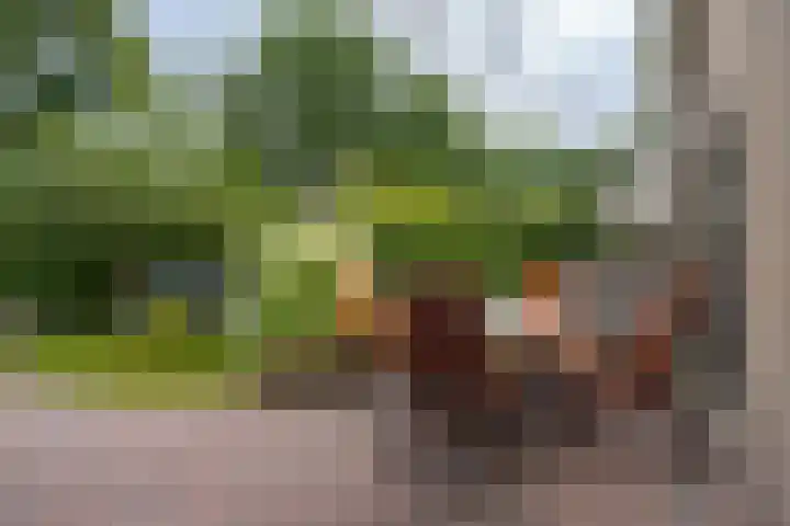 Markiezenhof 20 Roden thumbnail 26