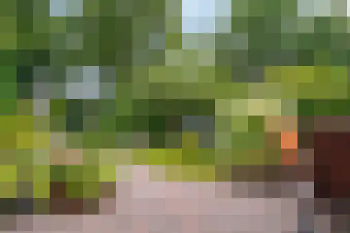 Markiezenhof 20 Roden thumbnail 27