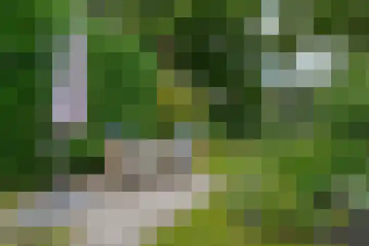 Markiezenhof 20 Roden thumbnail 29