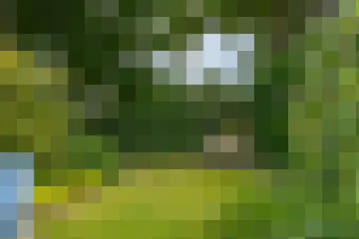 Markiezenhof 20 Roden thumbnail 30