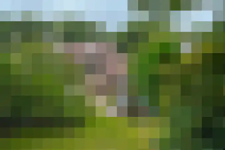 Markiezenhof 20 Roden thumbnail 31