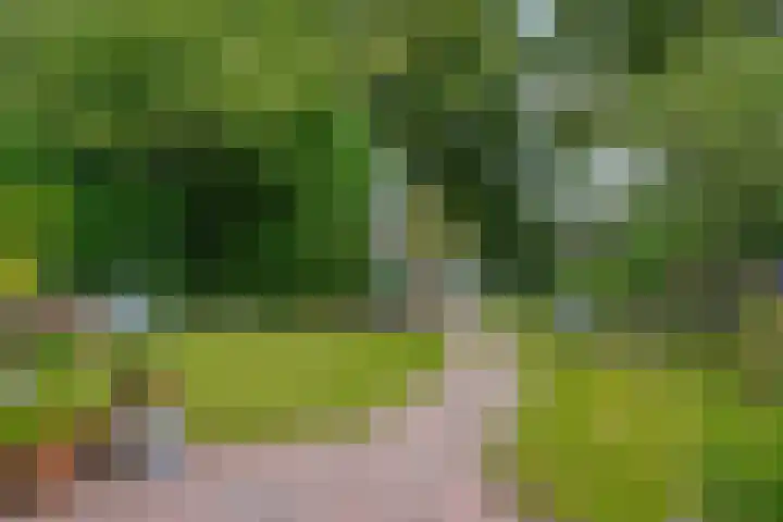 Markiezenhof 20 Roden thumbnail 4