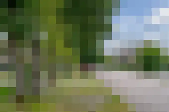 Markiezenhof 20 Roden thumbnail 5