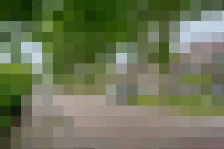 Markiezenhof 20 Roden thumbnail 6