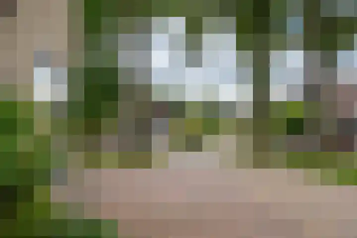 Markiezenhof 20 Roden thumbnail 7
