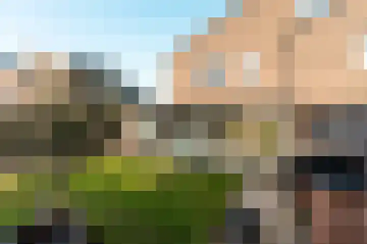 Markiezenhof 24 Lelystad thumbnail 52