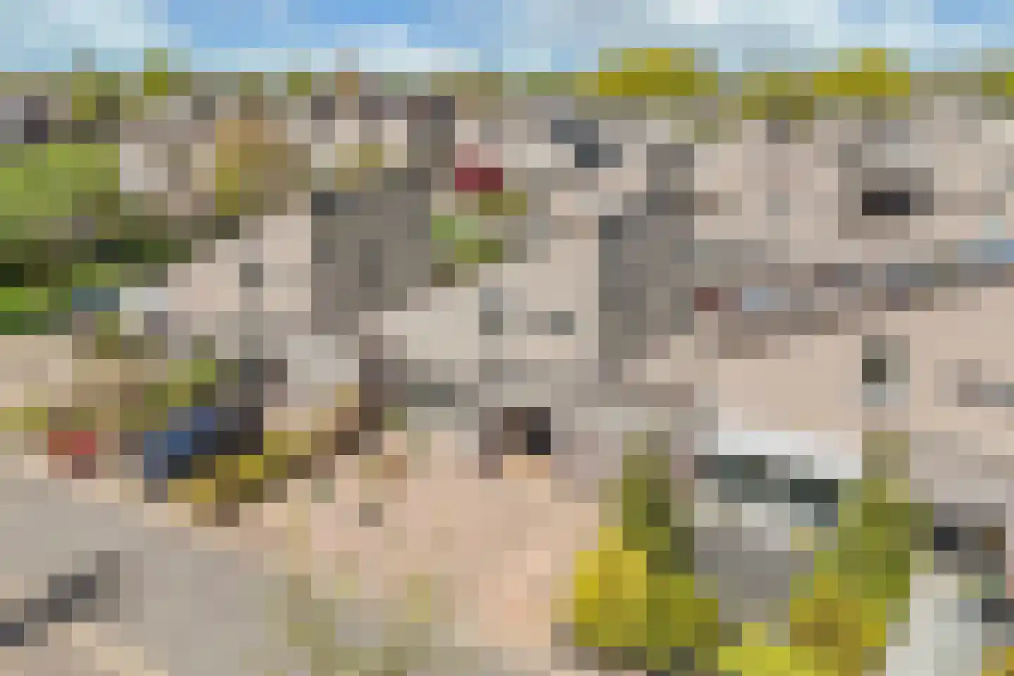 Markiezenhof 27 Lelystad thumbnail 10