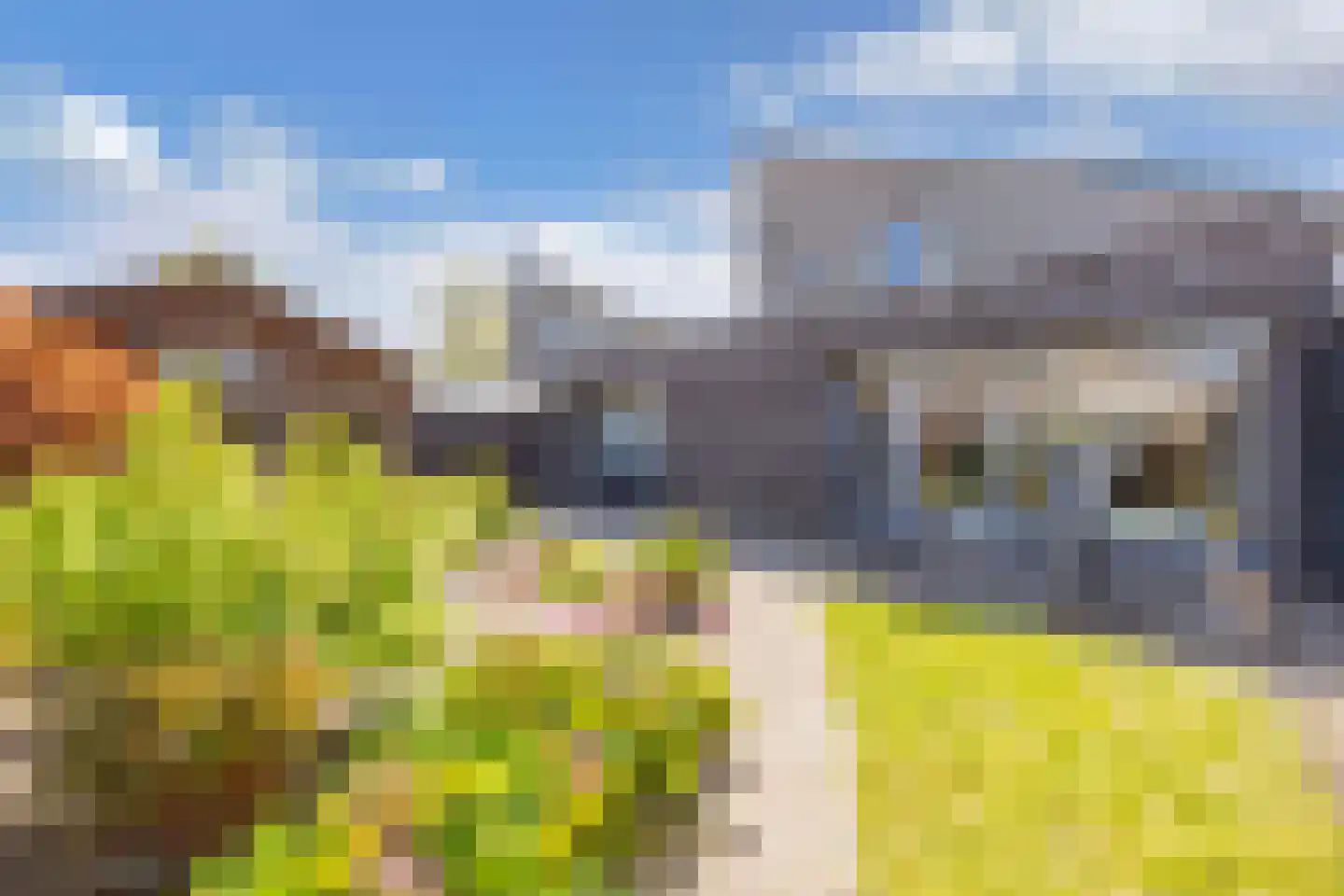 Markiezenhof 27 Lelystad thumbnail 45