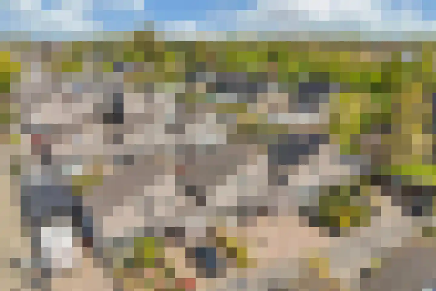 Markiezenhof 27 Lelystad thumbnail 9