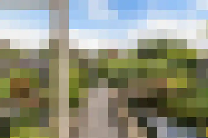 Markiezenhof 28 Lelystad thumbnail 21