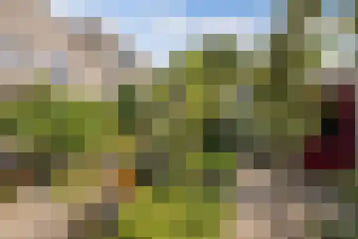 Markiezenhof 28 Lelystad thumbnail 26