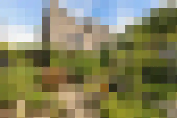 Markiezenhof 28 Lelystad thumbnail 27