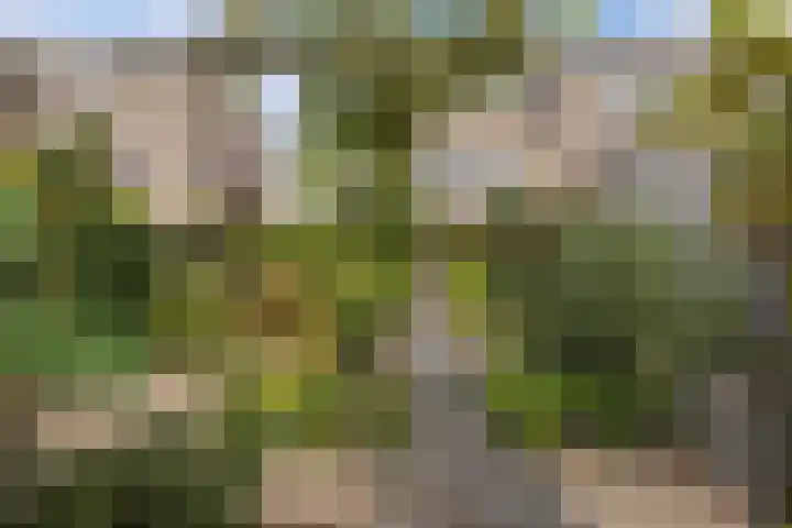 Markiezenhof 28 Lelystad thumbnail 28
