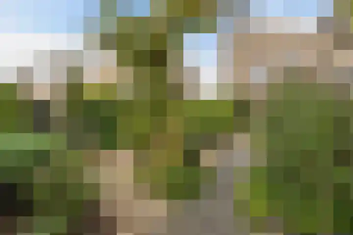 Markiezenhof 28 Lelystad thumbnail 29