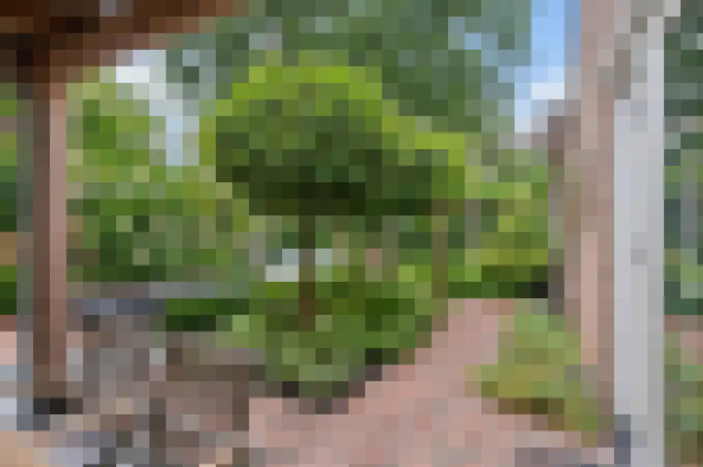 Markiezenhof 33 Ede thumbnail 43