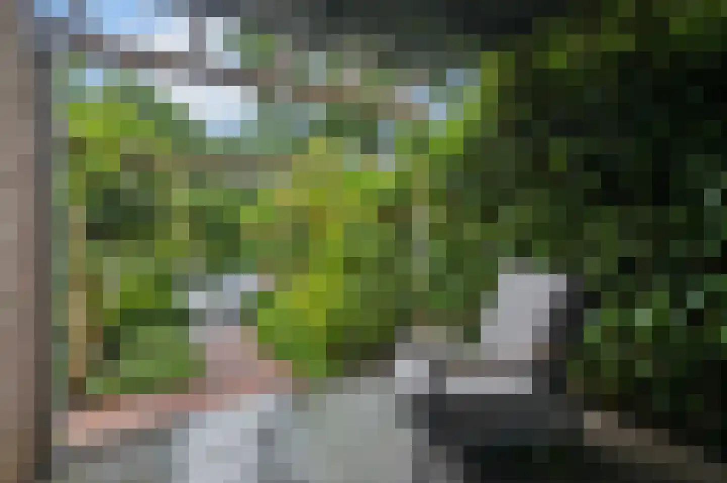 Markiezenhof 33 Ede thumbnail 46
