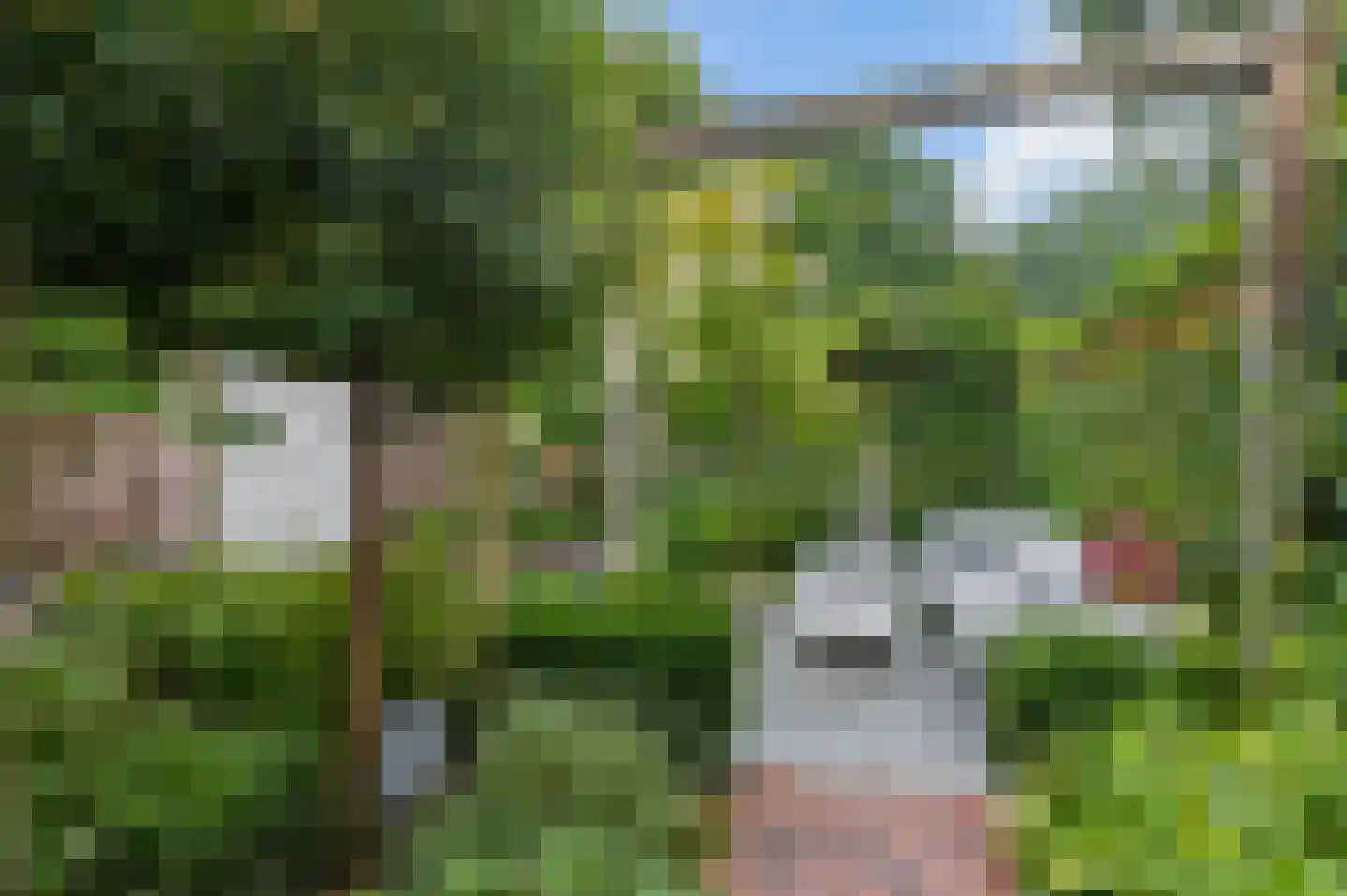 Markiezenhof 33 Ede thumbnail 48