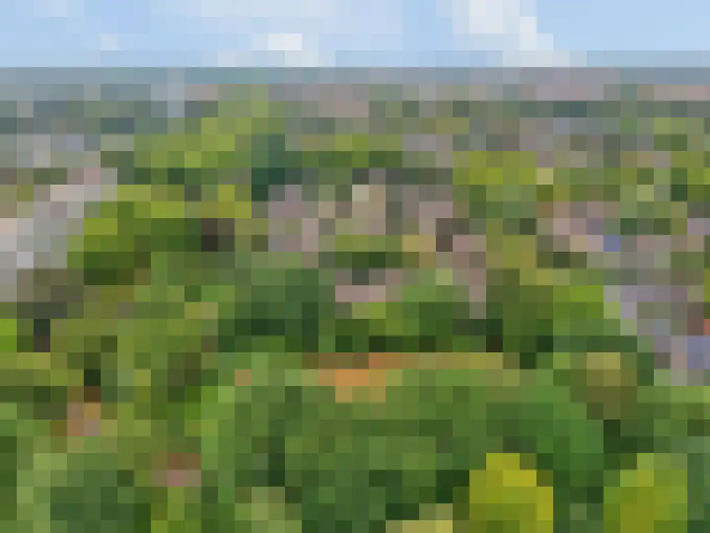 Markiezenhof 33 Ede thumbnail 60