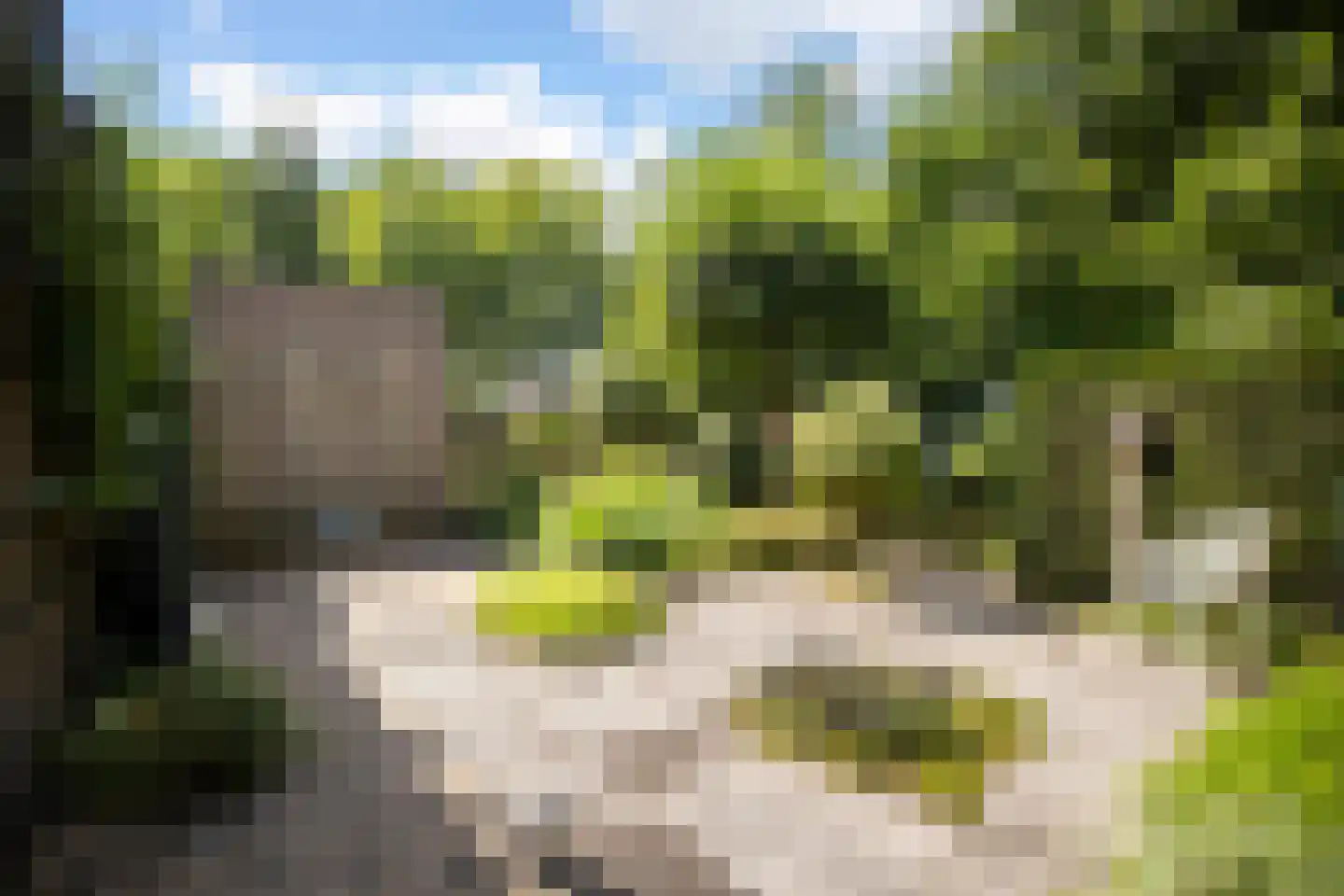 Markiezenhof 49 Ede thumbnail 39