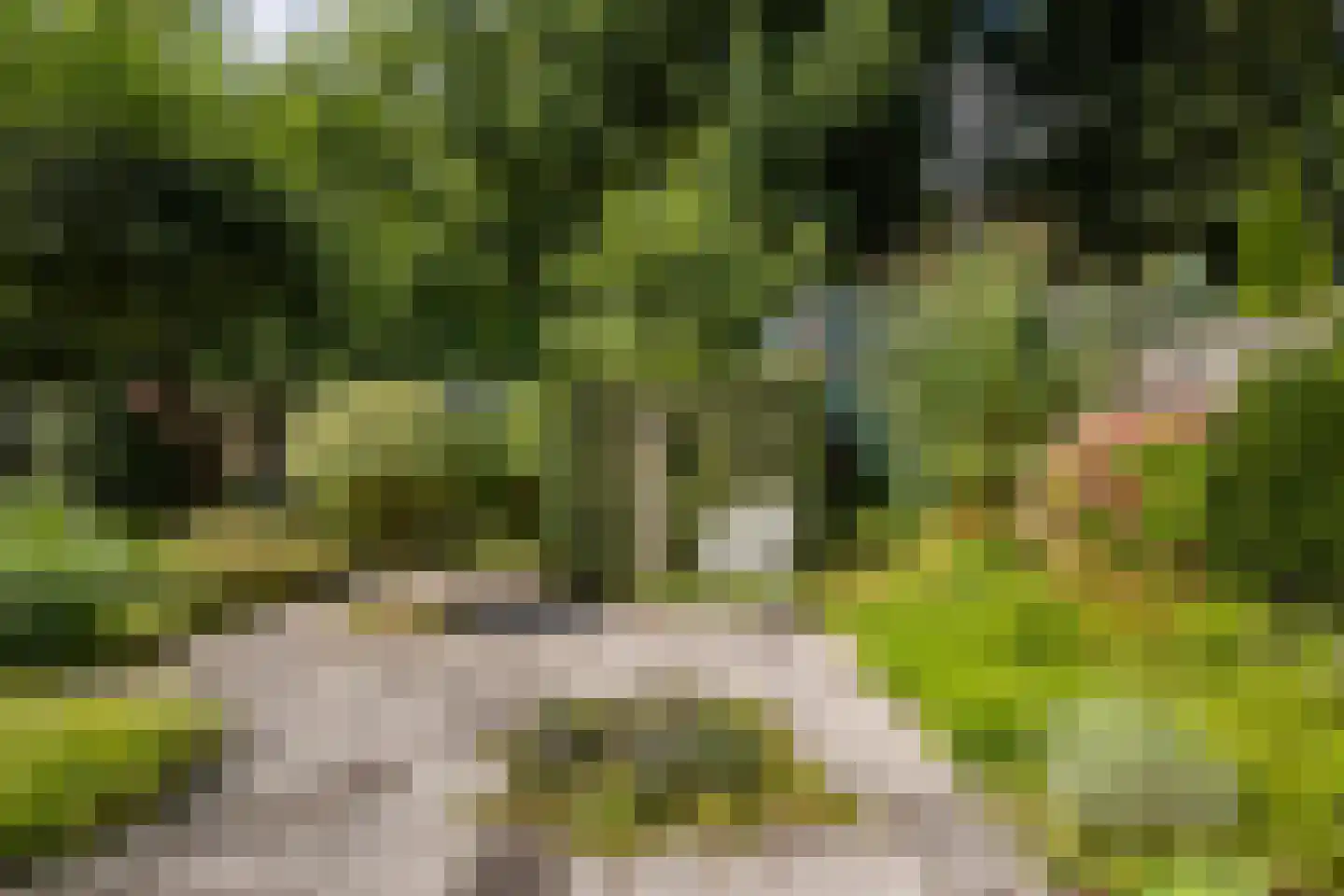 Markiezenhof 49 Ede thumbnail 4