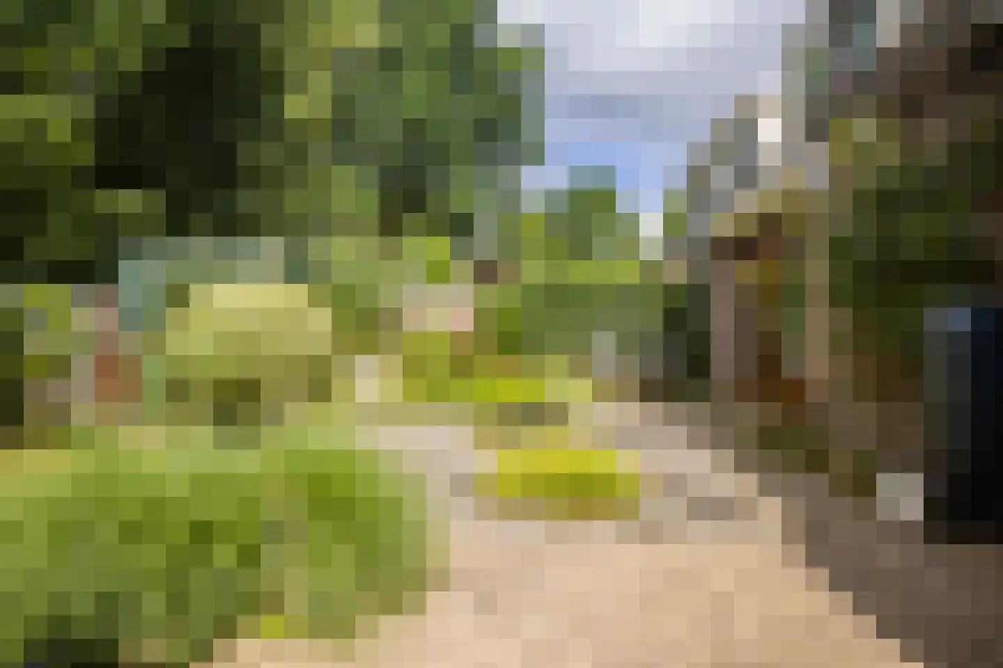 Markiezenhof 49 Ede thumbnail 40