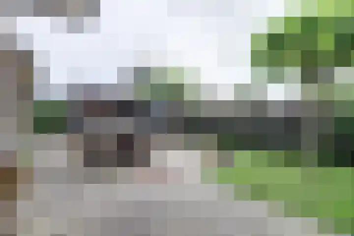 Markiezenhof 7 Leerdam thumbnail 17