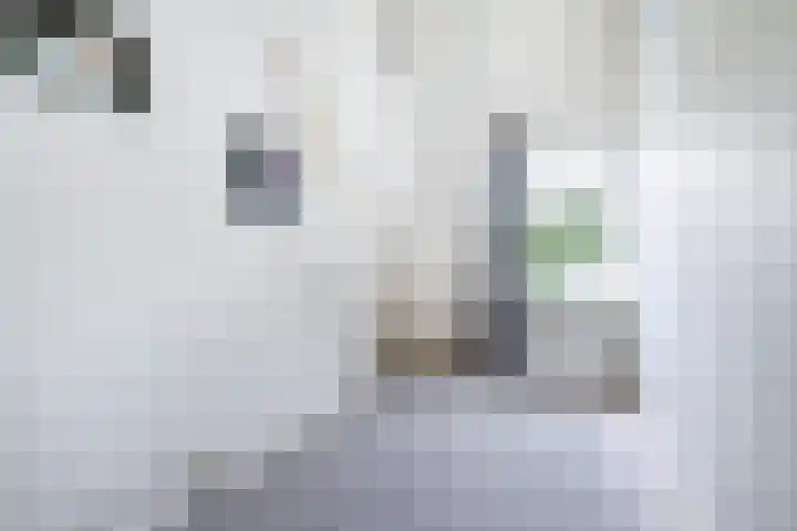 Markiezenhof 7 Leerdam thumbnail 31