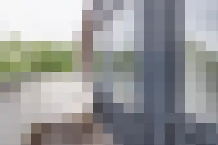 Markiezenhof 7 Leerdam thumbnail 33