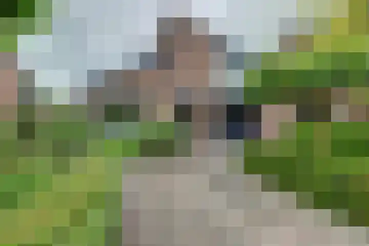 Markiezenhof 7 Leerdam thumbnail 44
