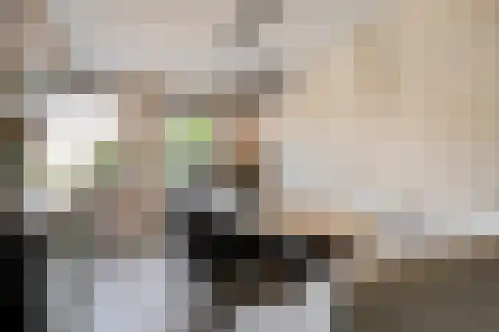 Markiezenhof 79 Roden thumbnail 12