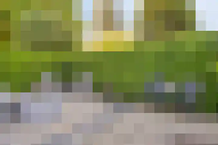 Markiezenhof 79 Roden thumbnail 35