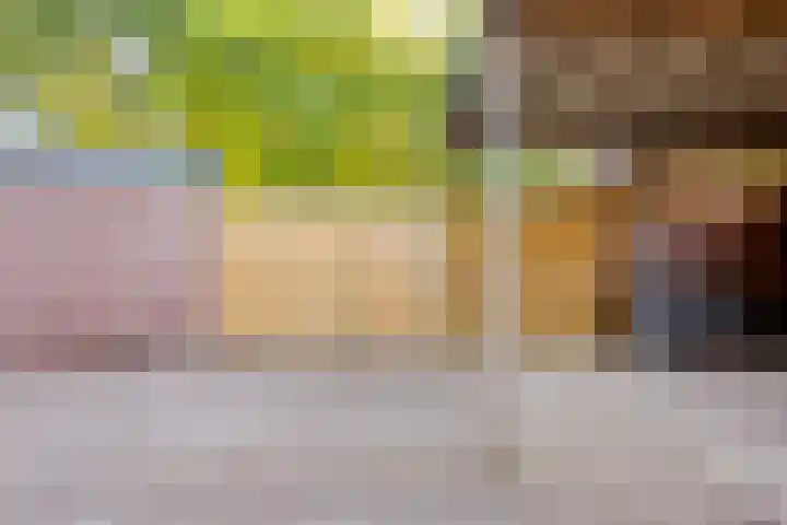 Markiezenhof 79 Roden thumbnail 41
