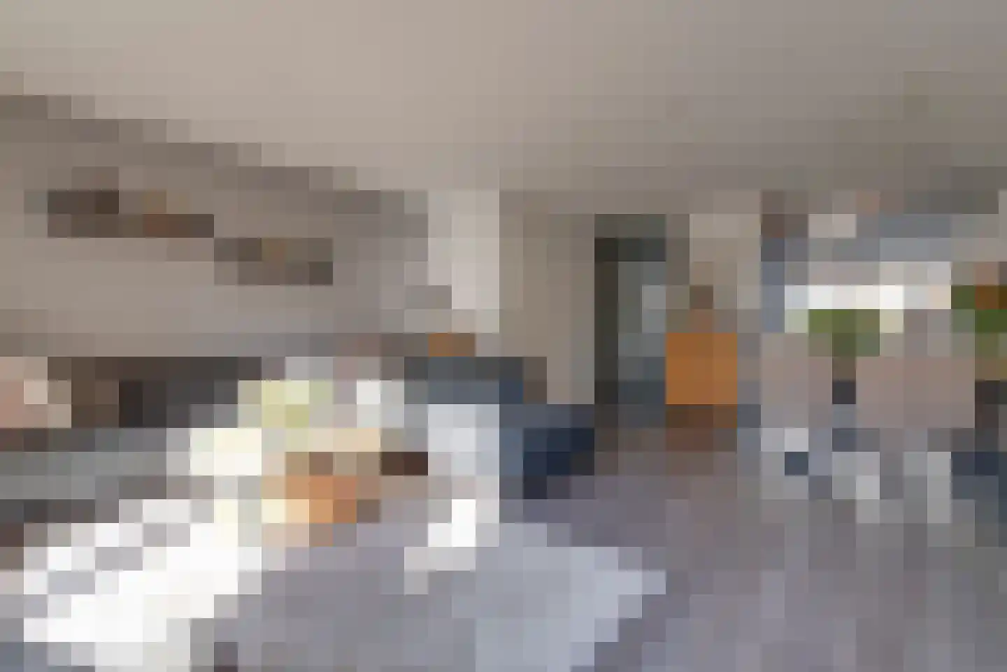 Markiezenhof 9 Veenendaal thumbnail 4