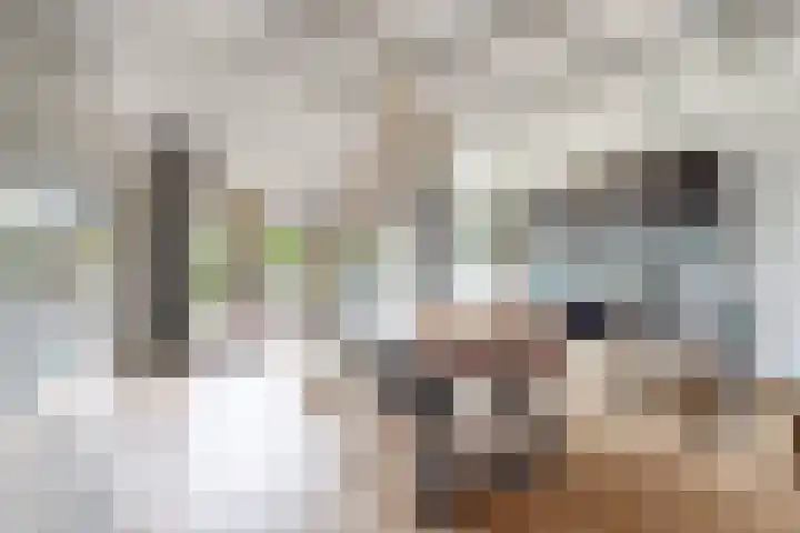 Markiezenlaan 42 Standdaarbuiten thumbnail 14