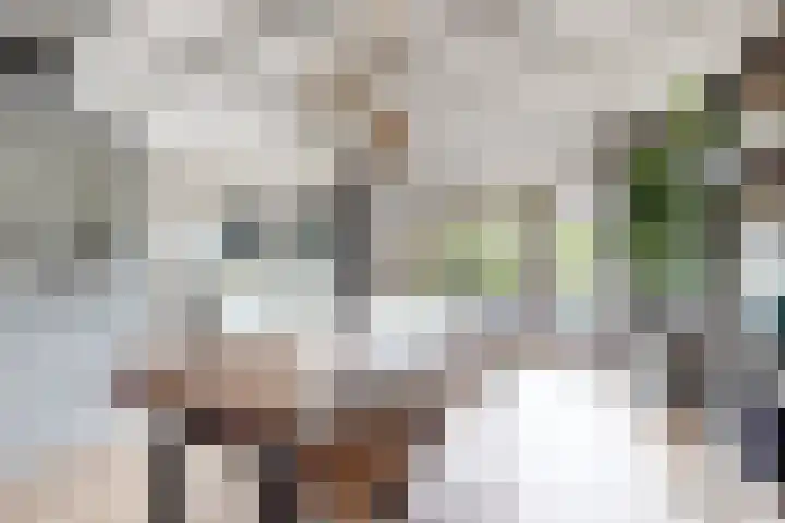 Markiezenlaan 42 Standdaarbuiten thumbnail 16