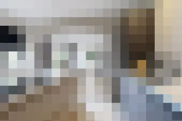 Markiezenlaan 42 Standdaarbuiten thumbnail 20