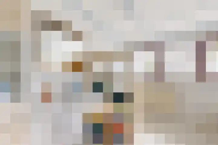 Markiezenlaan 42 Standdaarbuiten thumbnail 45