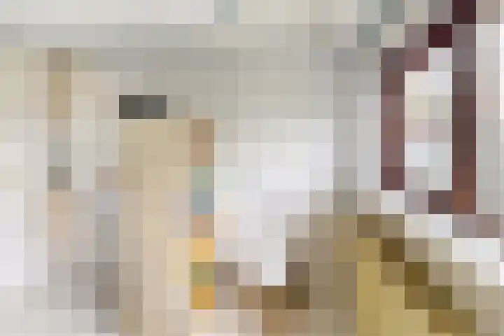 Markiezenlaan 42 Standdaarbuiten thumbnail 46