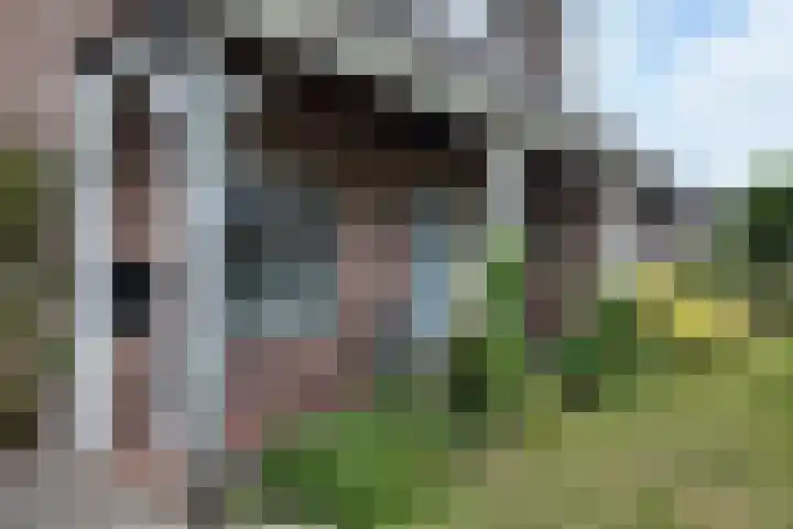 Markiezenlaan 42 Standdaarbuiten thumbnail 57