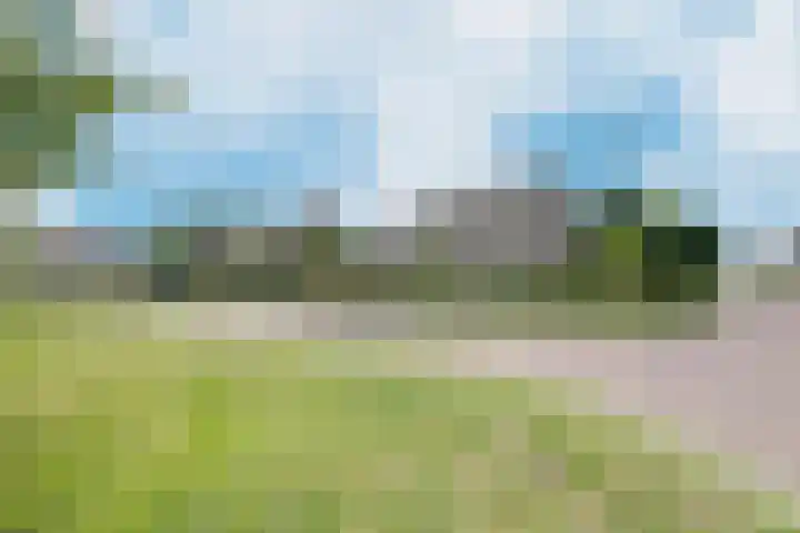 Markiezenlaan 42 Standdaarbuiten thumbnail 62