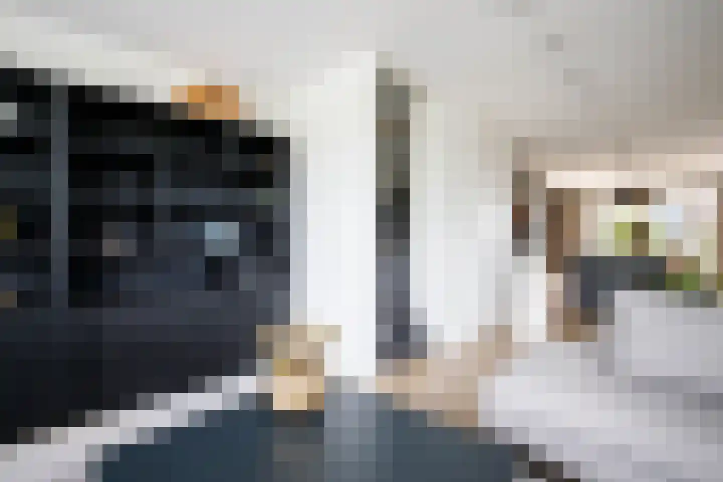 Markiezenoever 11 Zevenhuizen thumbnail 10