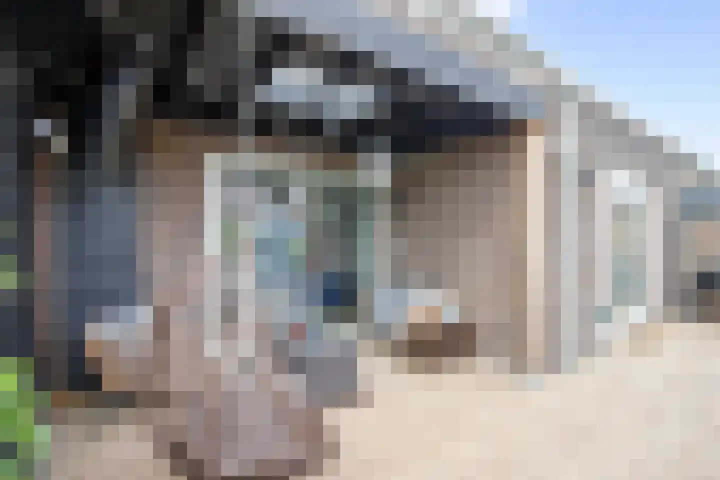 Markiezenoever 11 Zevenhuizen thumbnail 20