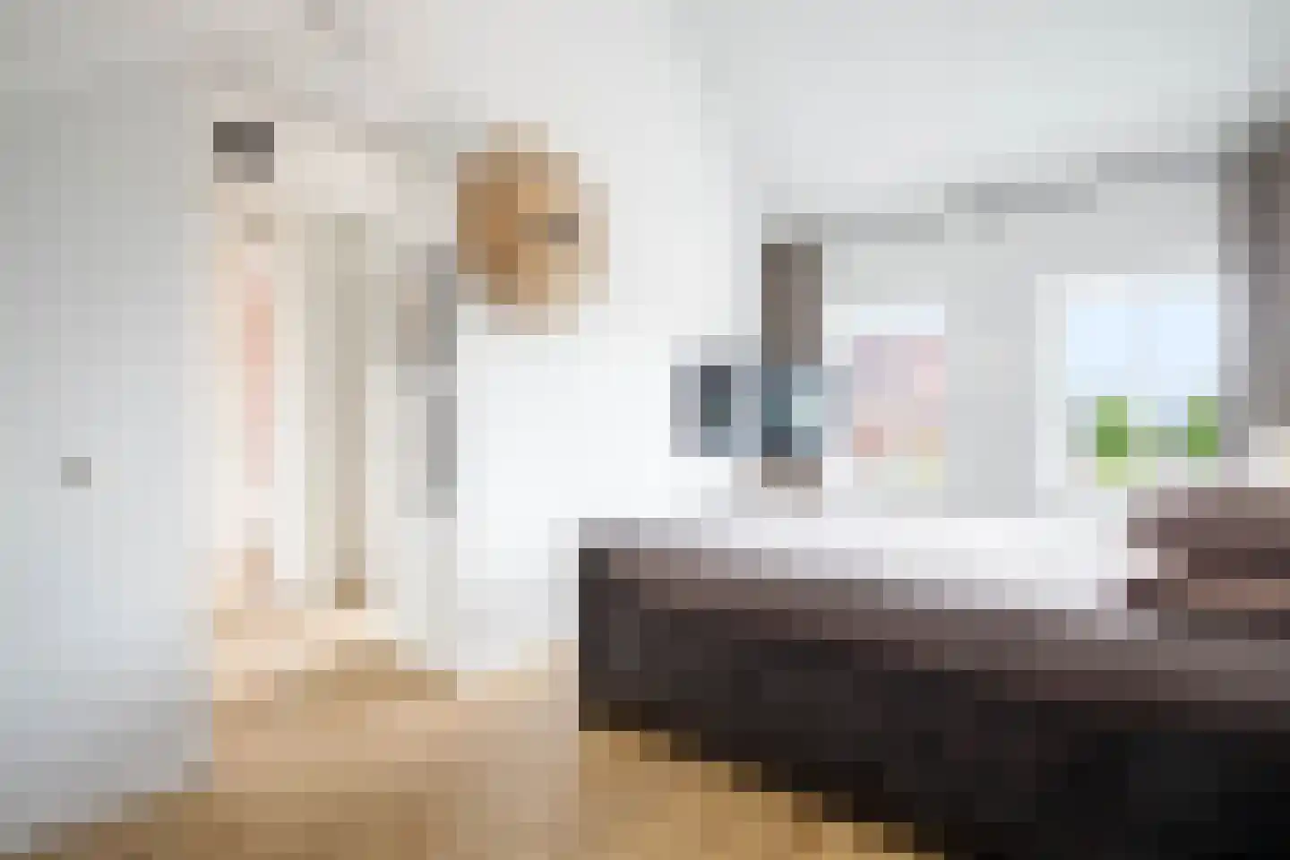 Markiezenoever 11 Zevenhuizen thumbnail 30