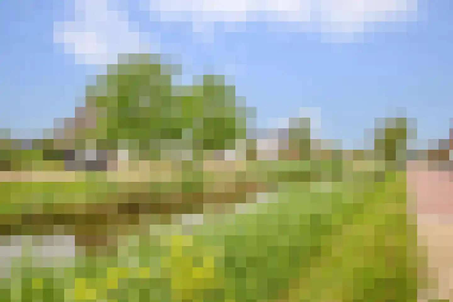 Markiezenoever 11 Zevenhuizen thumbnail 43