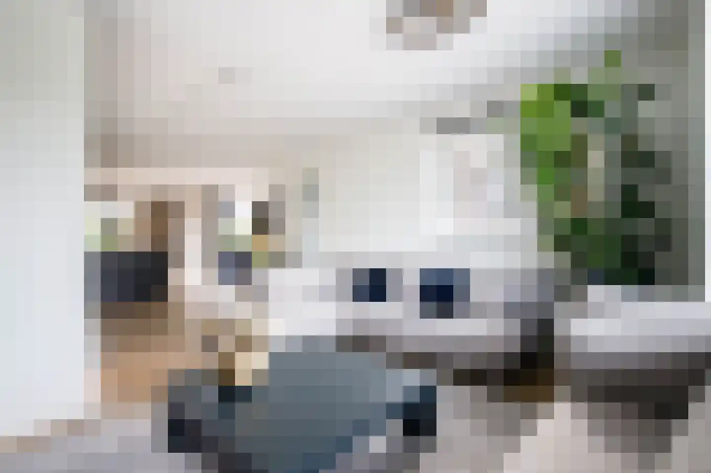Markiezenoever 11 Zevenhuizen thumbnail 9