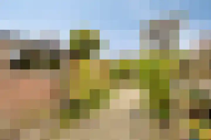 Markiezenstraat 22 Wouw thumbnail 21