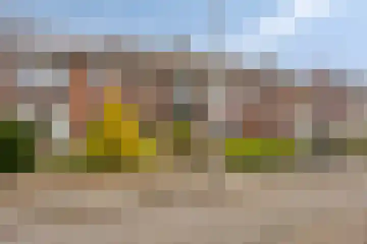 Markiezenstraat 22 Wouw thumbnail 28